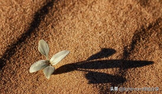 摄影布光怎么拍出阴影,拍照怎么拍出阴影感