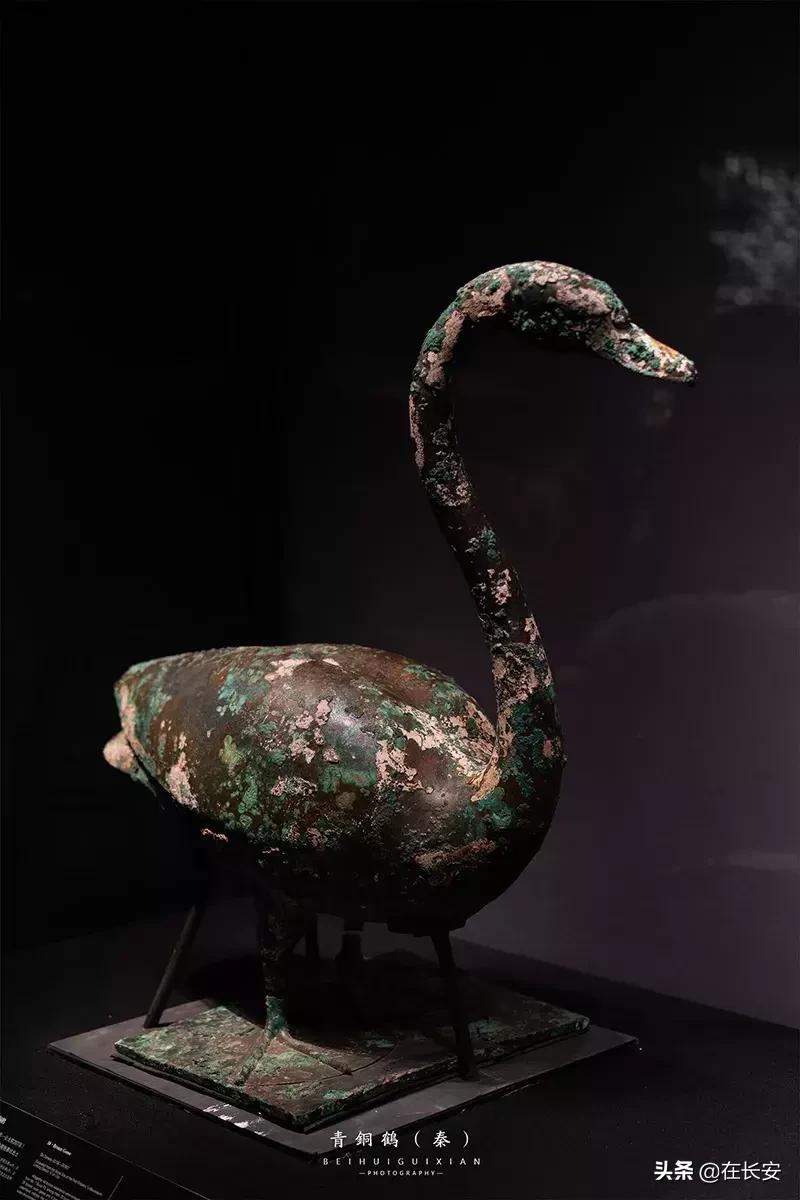 陕西历史博物馆视频高级感,陕西历史博物馆唯美视频