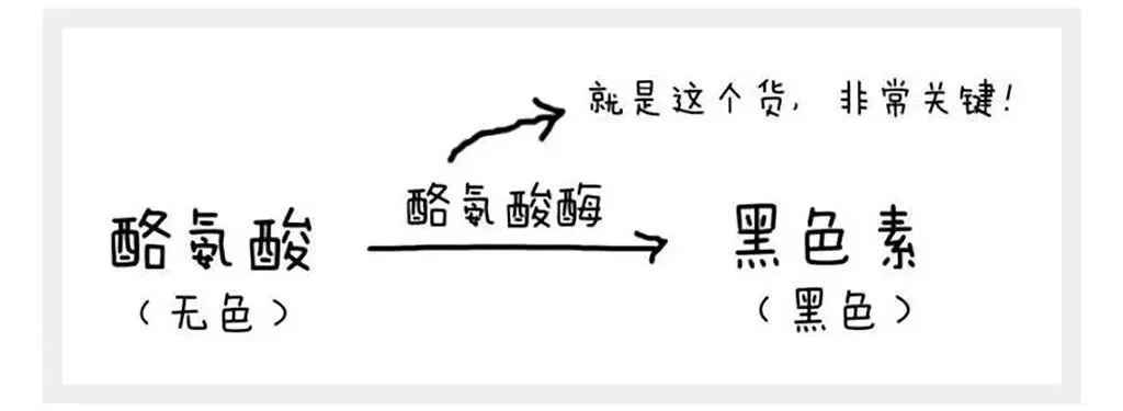 美白成分377起效浓度,美白377是什么成分