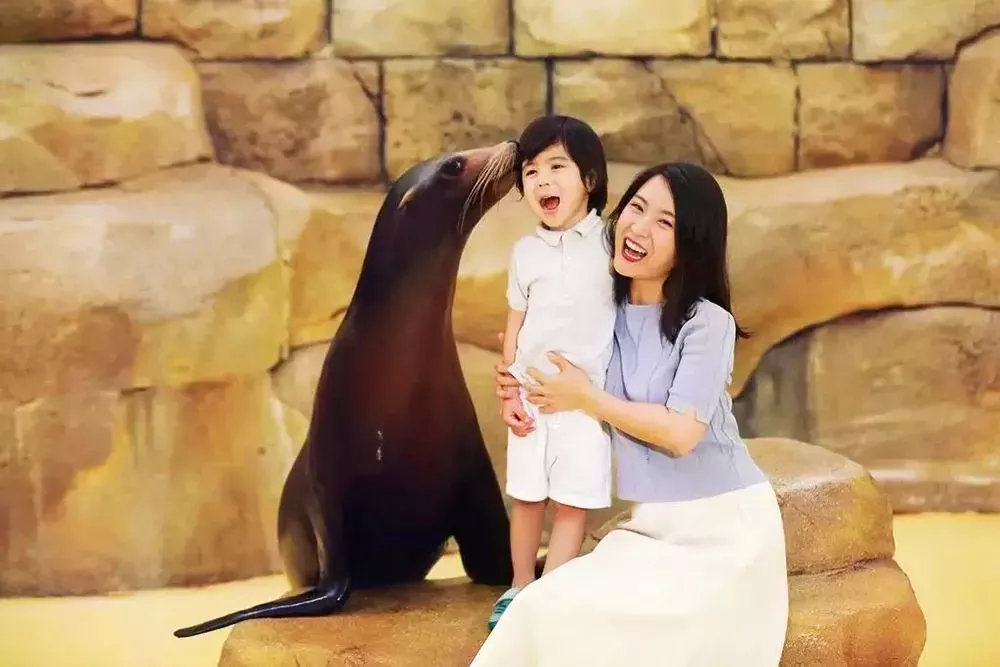 三亚天域酒店亲子攻略,三亚旅游攻略亲子酒店