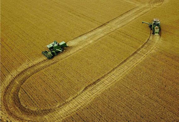 大国粮仓纪录片多长时间,大国粮仓纪录片黄金根