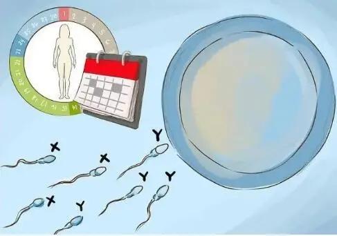 胡杏儿张歆艺参加什么节目,张歆艺电视剧生孩子