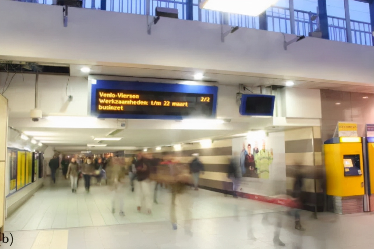 *行为性**能让鼻子更通气；留着长胡子更抗打？今年的搞笑诺奖它来了