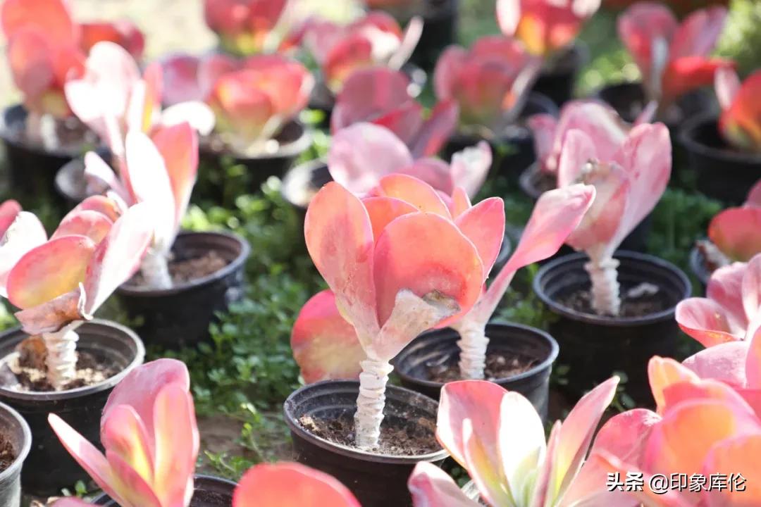 80后创业致富小伙,80后农村小伙创业历程