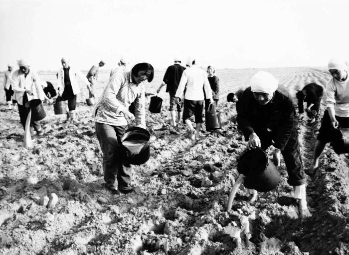 上世纪50年代，给毛主席点烟的女知青，如今怎么样了？