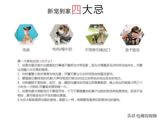 泰迪狗狗牙结石怎么去除,泰迪牙结石怎么去除