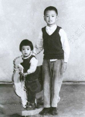 高圆圆褪去青涩依旧是大家的女神,高圆圆凭什么成为国民女神