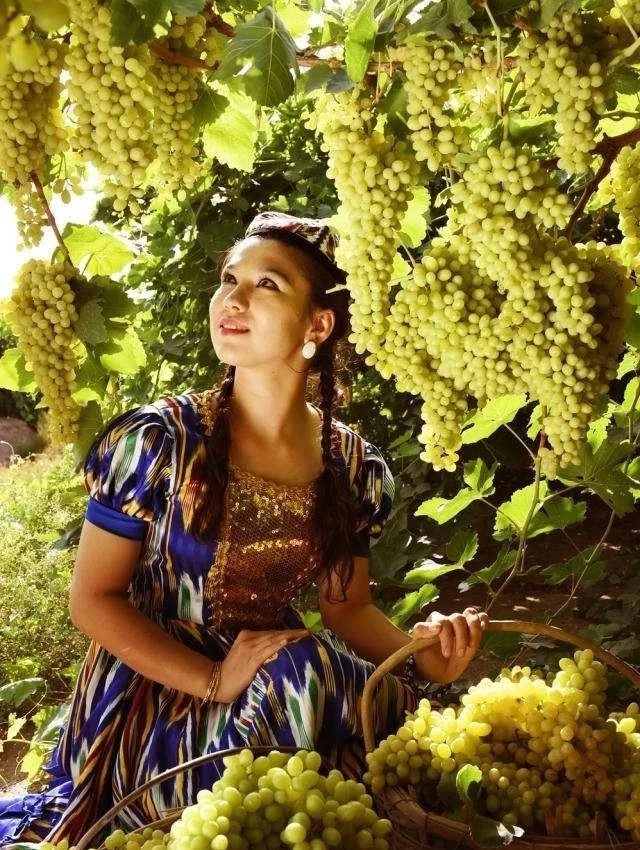 吐鲁番十大葡萄干品种之一,吐鲁番特级葡萄