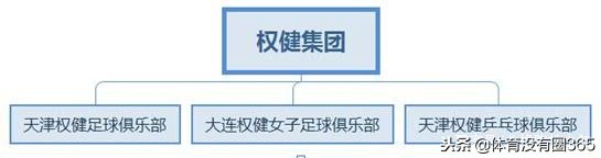 权健老板束昱辉为什么被抓,权健老总束昱辉判几年