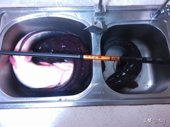 潘塘石窝钓鱼,路亚鱼塘钓石斑用什么假饵