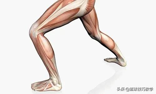 打球崴脚急救措施,打球崴脚了怎么高情商安慰