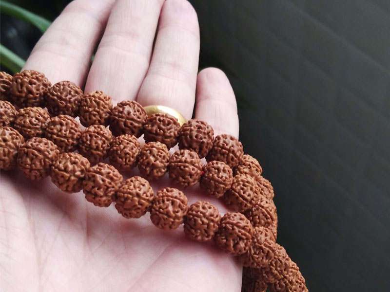 金刚小菩提用什么刷子,金刚小菩提上色效果