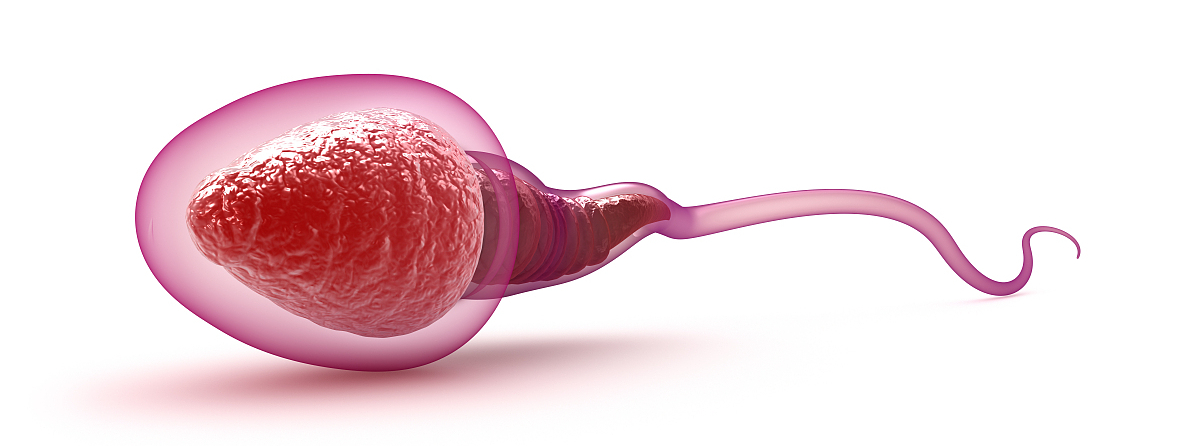 医院精子常规怎么每次都差不多,医院检查精子只有20个