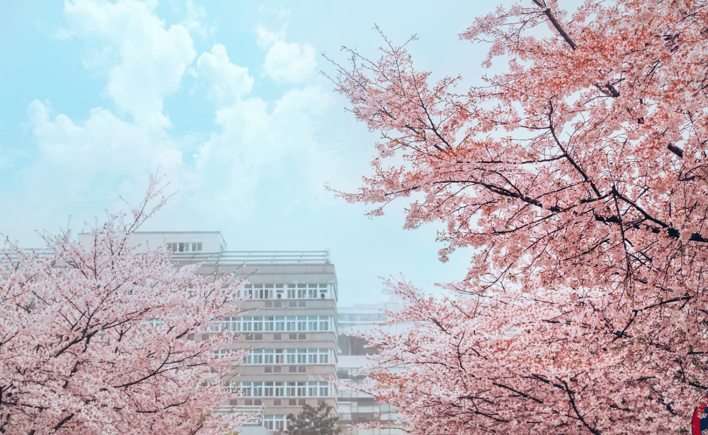 照片视频太多空间不够了怎么办,微信怎样存照片视频不占空间