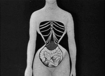 “内脏下垂、子宫脱落、漏尿……”:扒一扒你不知道的网红束腰