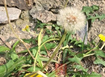 平常喝什么水养肝护肝,平常喝什么水养肝护肝最好