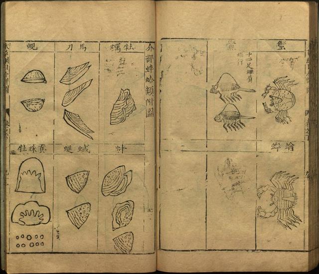 李时珍本草纲目书目录,李时珍本草纲目下卷