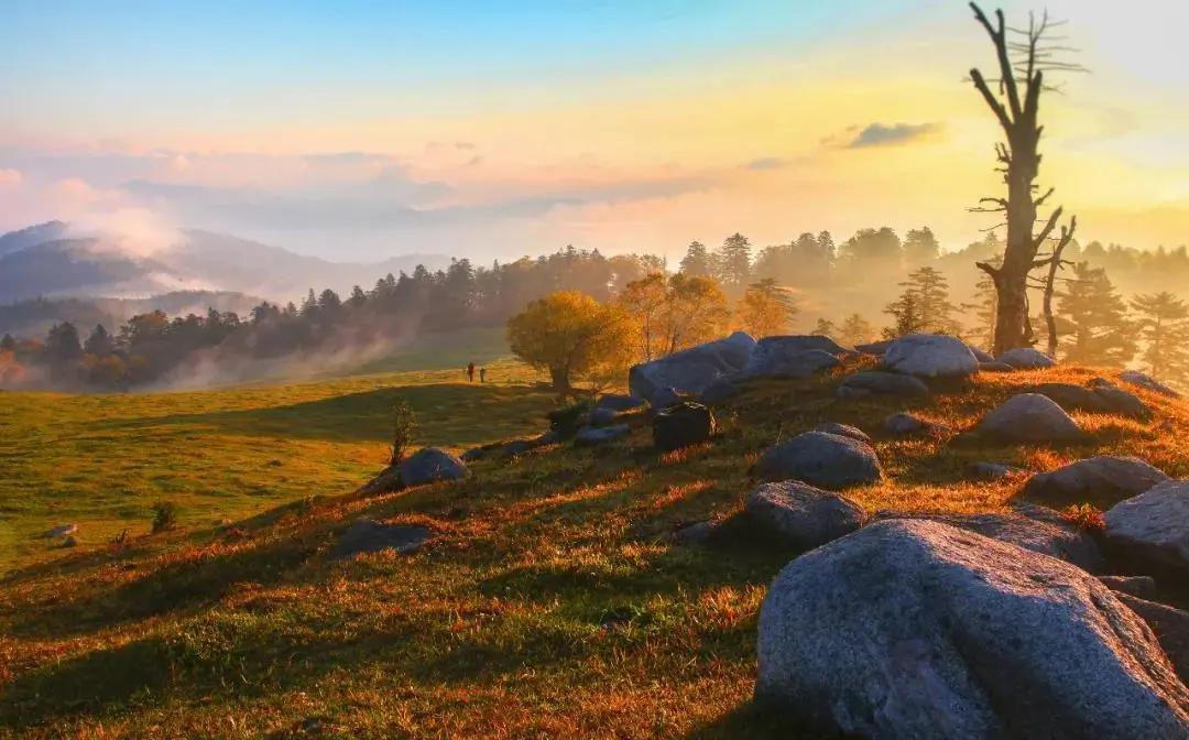 旅游景点畅玩团购,景点游玩优惠团购