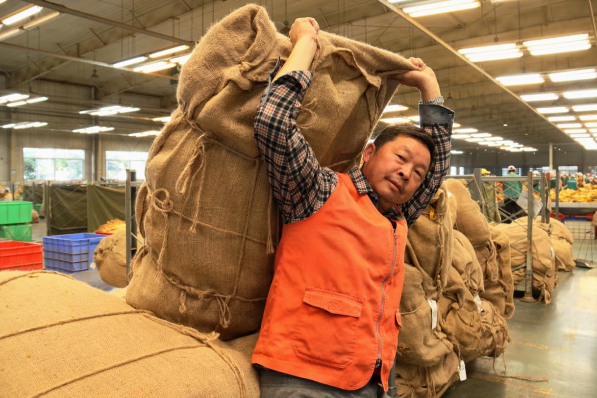 一家四口同厂上班，家门口的复烤厂给四川农民刘德贵带来什么？