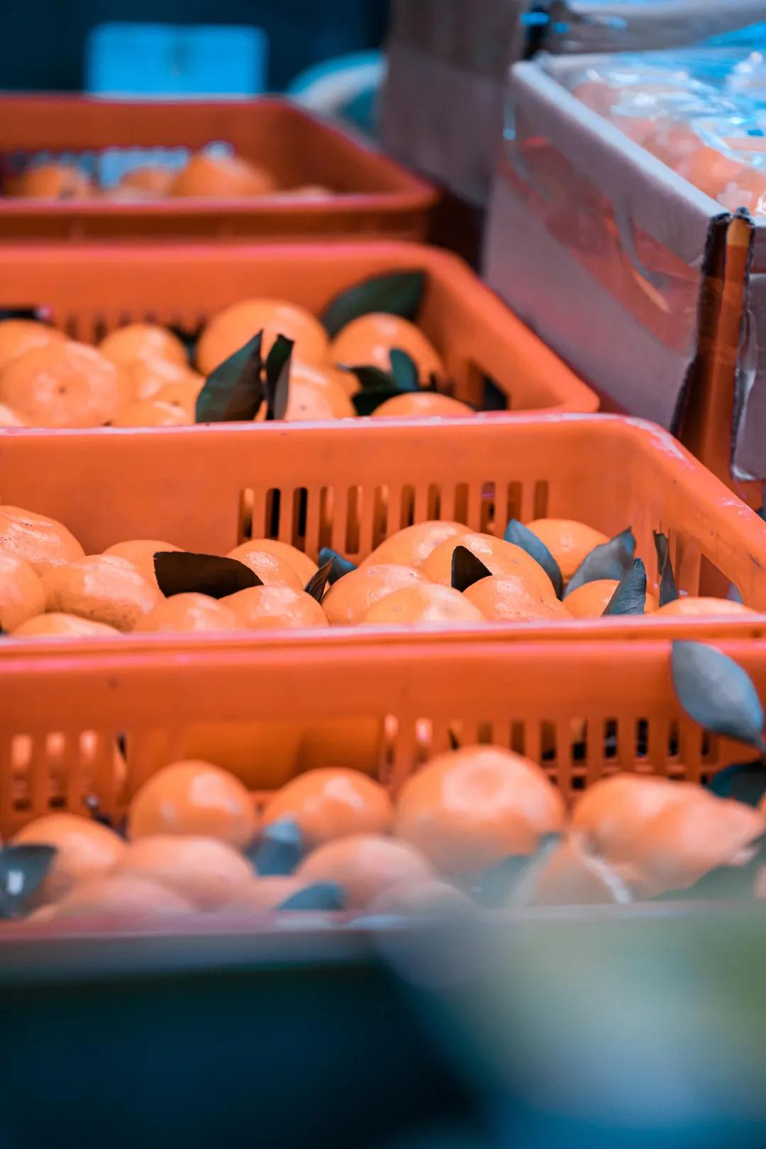 深圳宝安农批市场是几级,宝安农批市场在什么街道