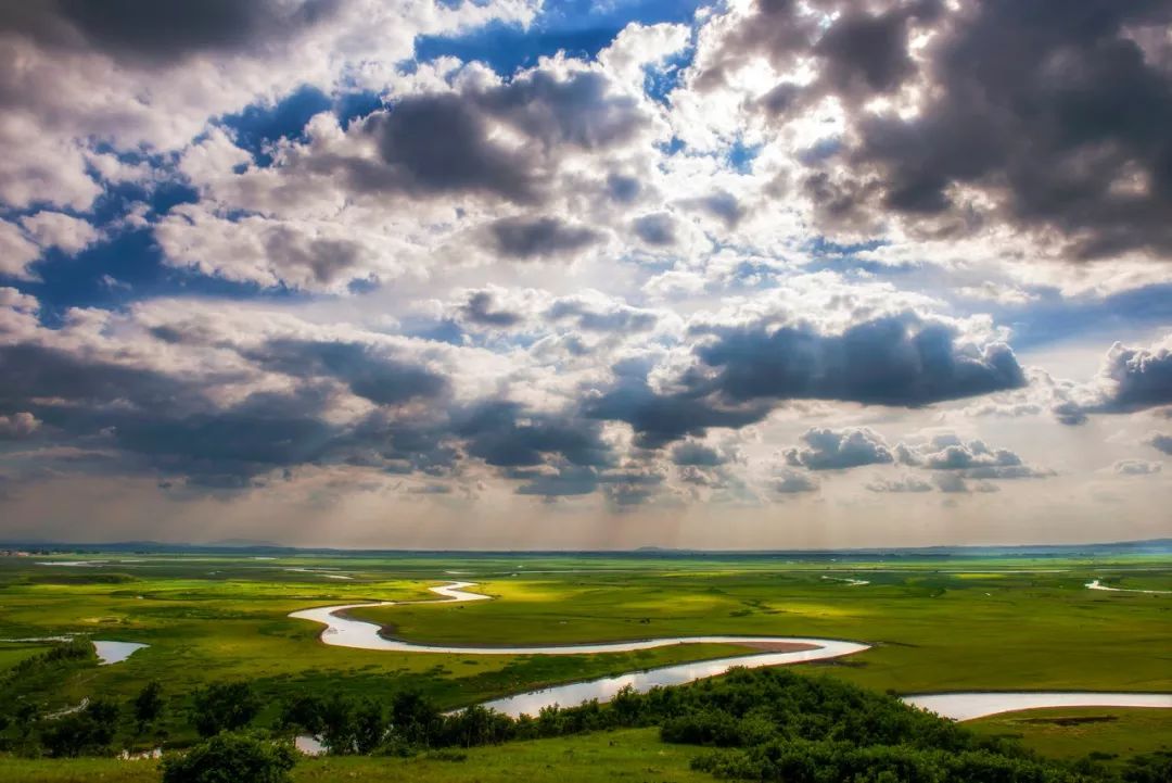 哪个地方的牛奶最好喝,中国哪个省的牛奶最好喝