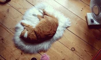 分享我的高颜值新宠，能躺能摇还会按摩松骨