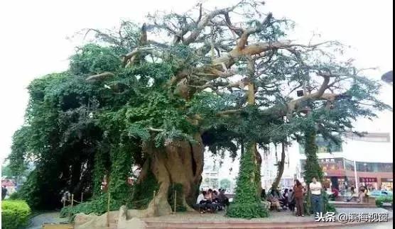 塘沽金街通车,塘沽金街关闭了吗