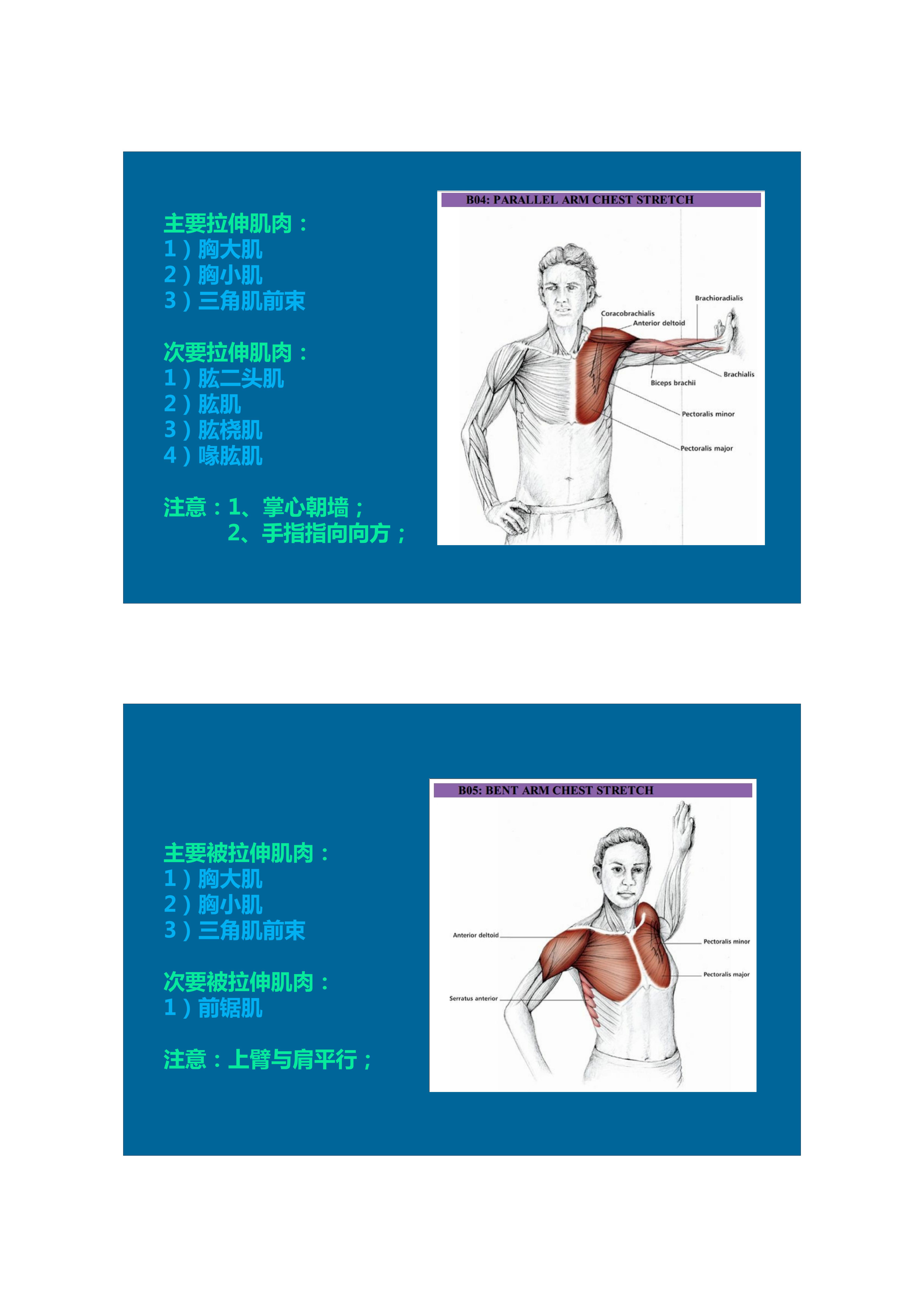 1分钟拉伸动作视频,拉伸腿部技巧