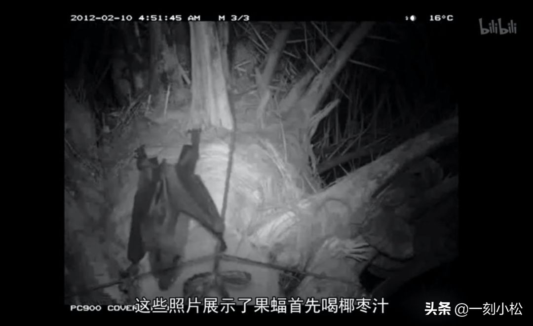 全球第一部疫情纪录片,最严重的疫情纪录片