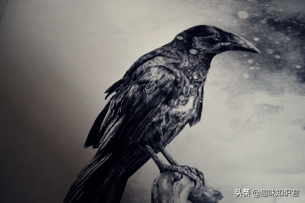 100个超级有趣的冷知识,那些稀奇古怪的冷知识