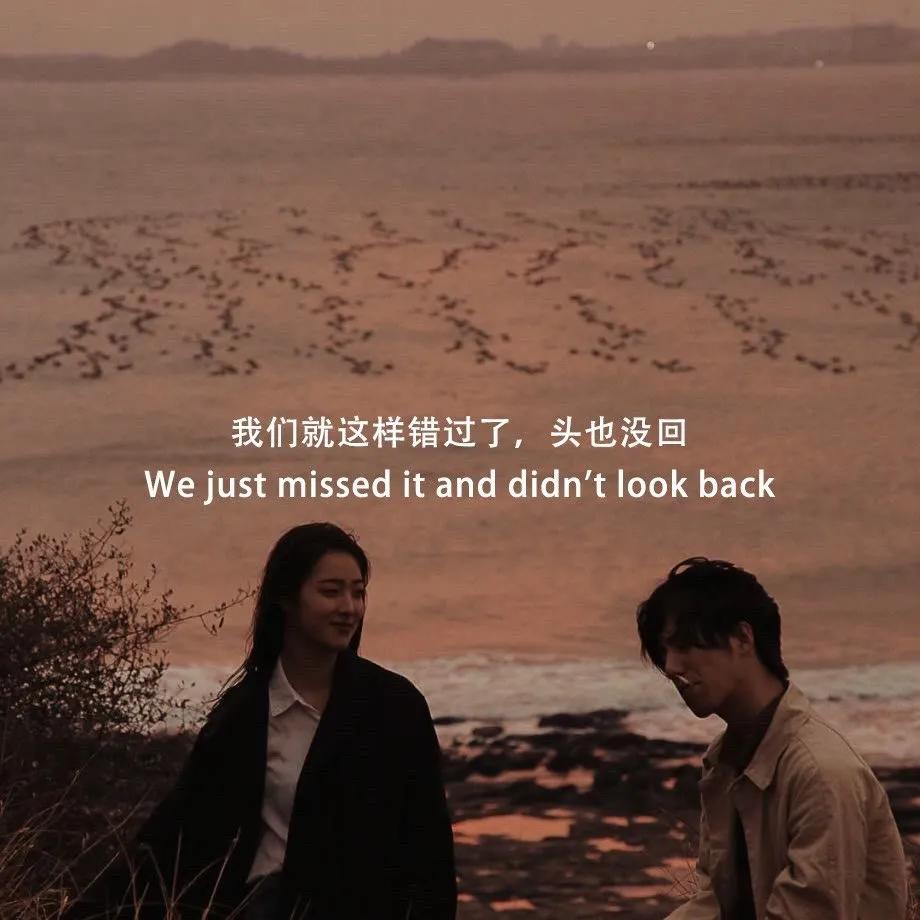 大自然治愈清新的背景图,文艺清新淡雅鲜花背景图