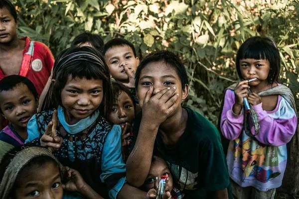 2019年，缅甸蟒蛇舍命报恩，冷血动物也有温情一面