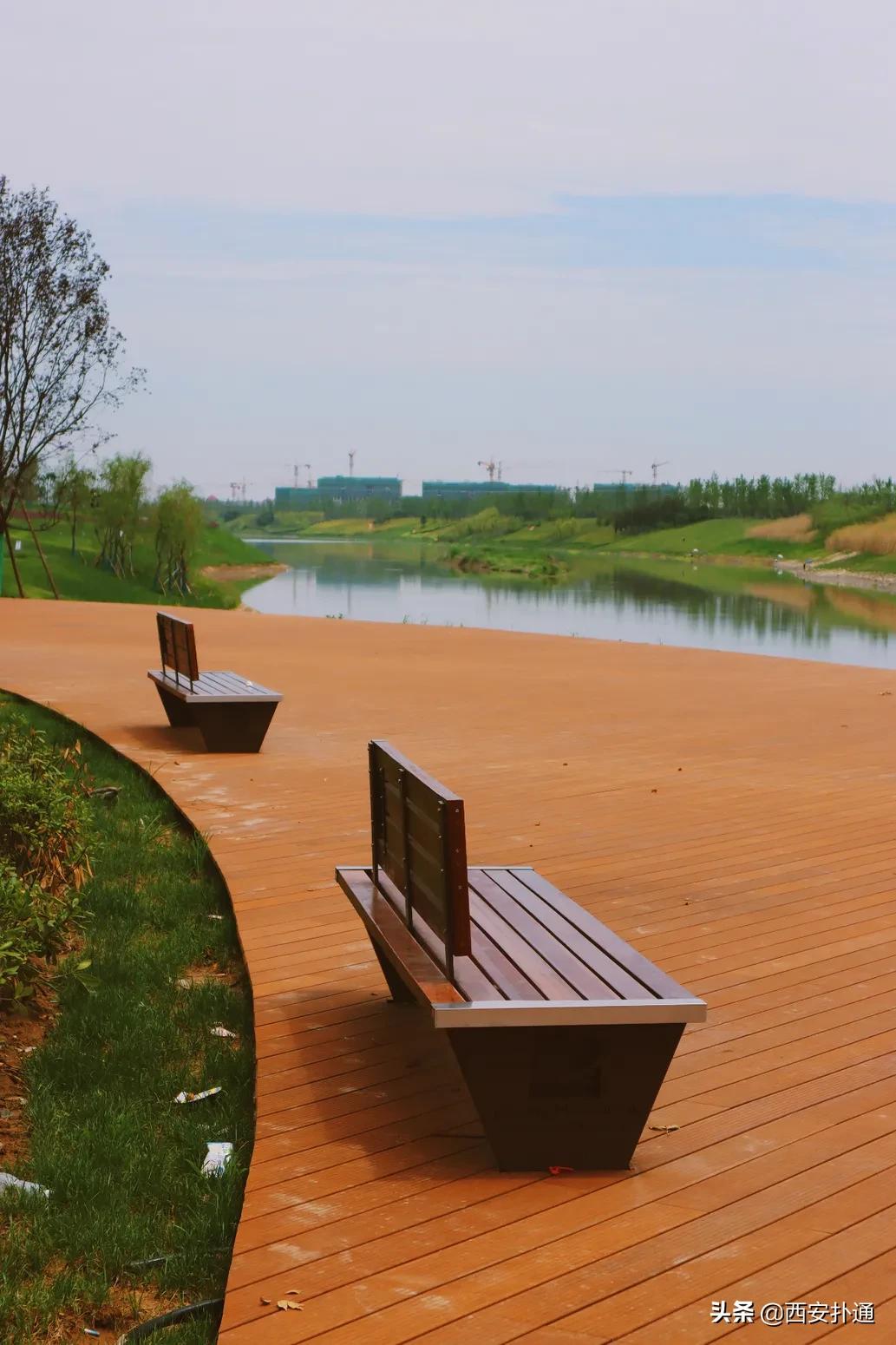 西安大草坪公园推荐,西安有大草坪的公园