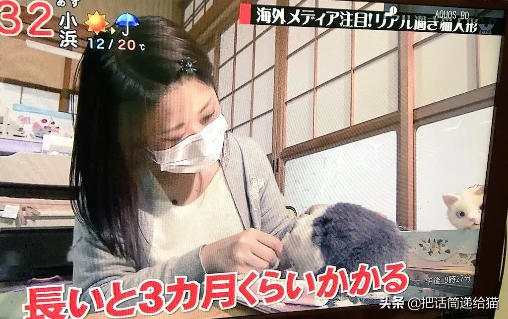 日本网红猫包,日本网红猫咪包