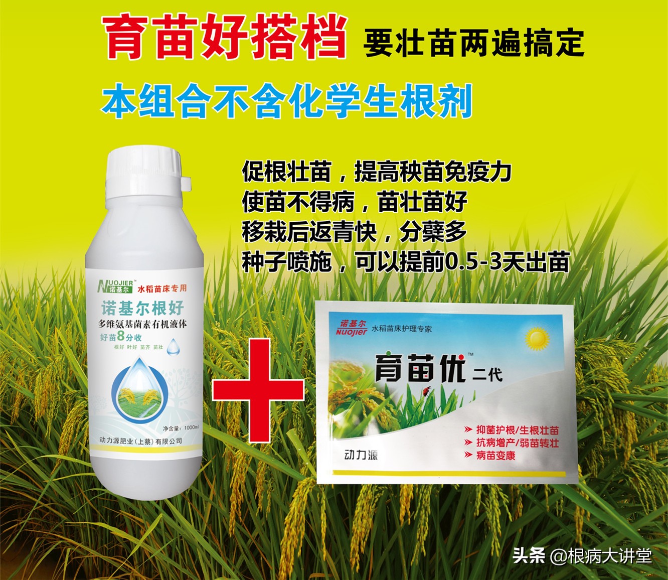 诺基尔：立枯病综合防治技术及治疗药剂大全，选对药很关键？