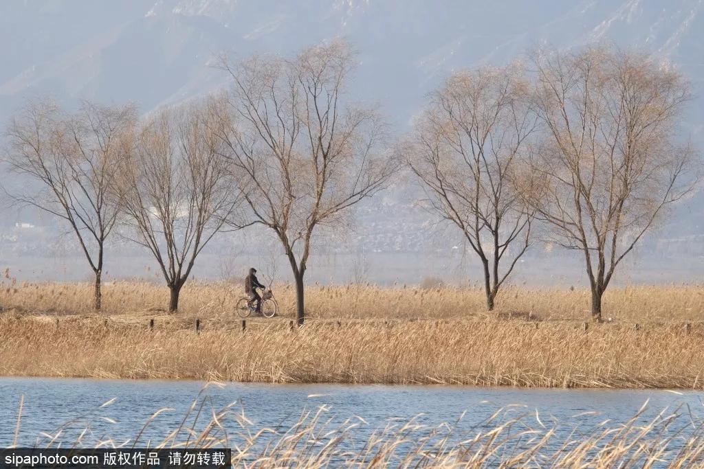 人在北京旅游,北京人在北京游玩的地方有哪些