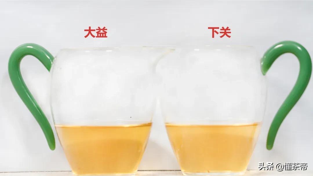 沱茶熟茶好与差对比,沱茶评测下关vs大益你更看好谁