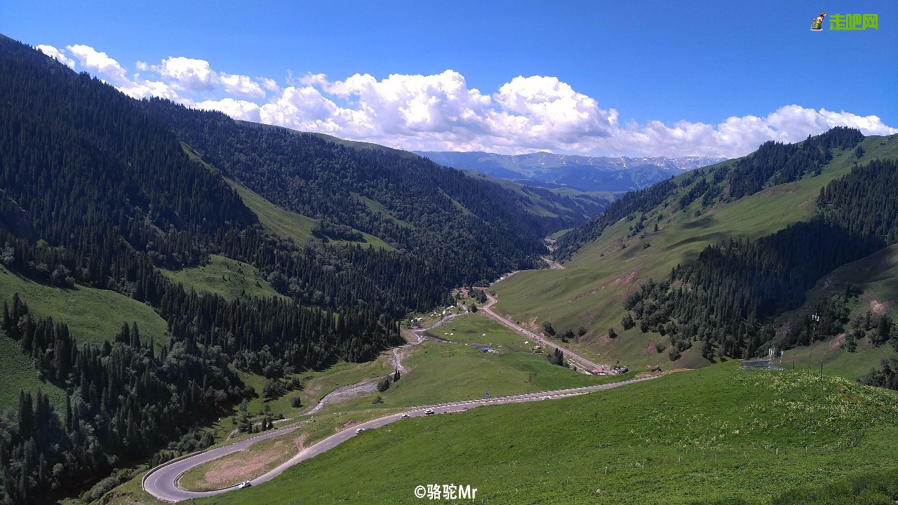 梵高画不出的向日葵,梵高画中的风景