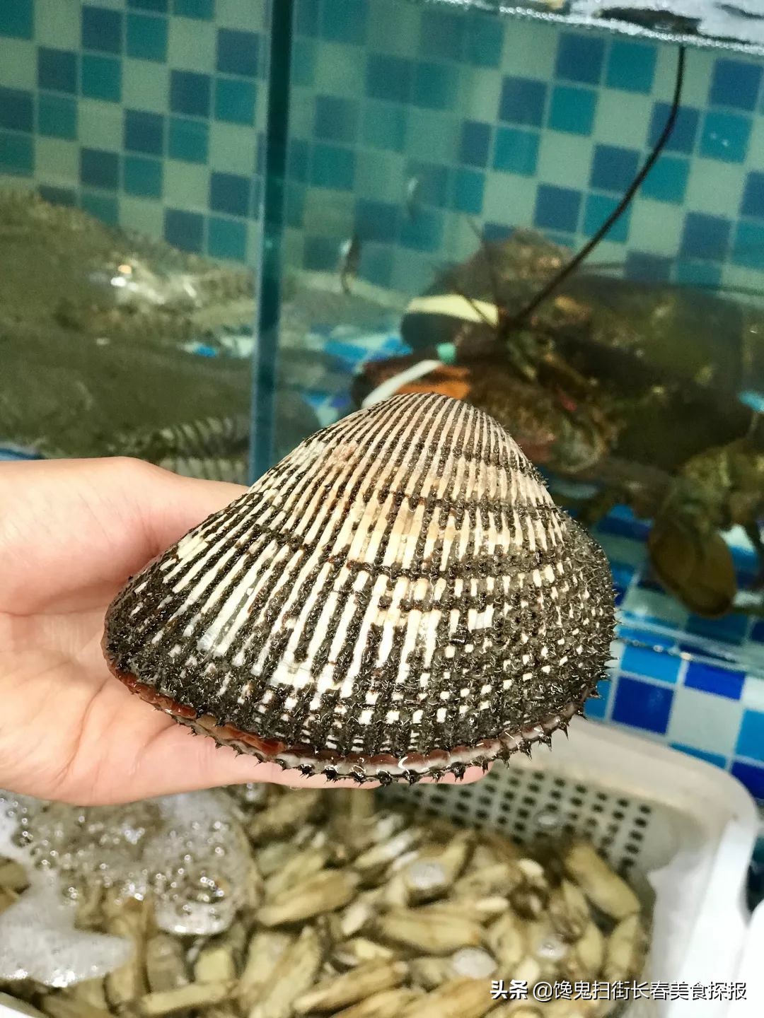 长春居然之家火锅,长春有个火锅很出名叫什么