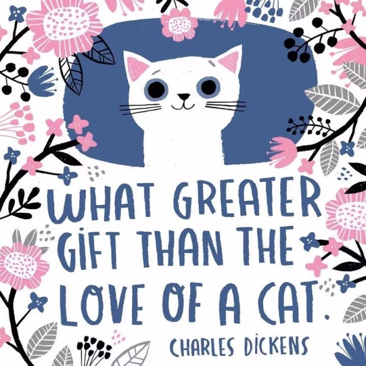 姑娘1天画1只猫坚持了100天 (坚持画猫100天的姑娘太有才了)