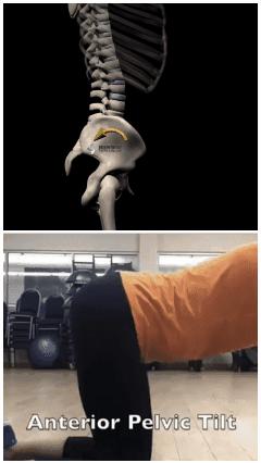 腹部无力没有知觉,腹部腰部无力