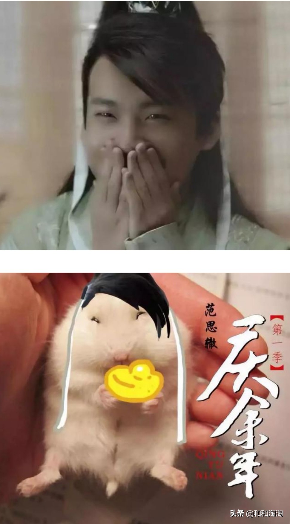 庆余年羊驼搞笑,庆余年动物搞笑图片