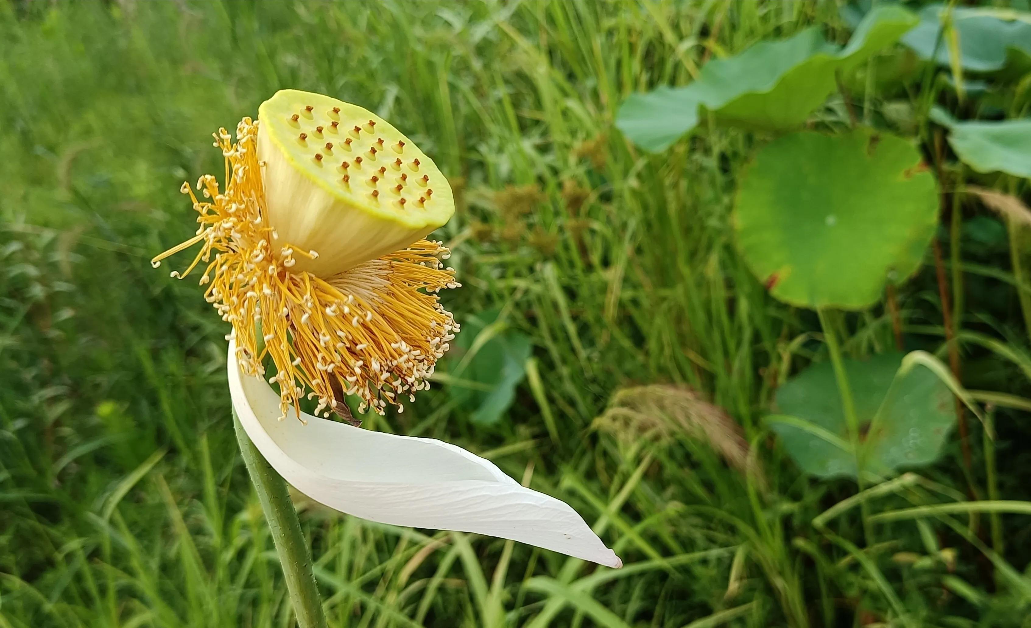 手拍世界手机摄影平台,手拍世界摄影交流平台