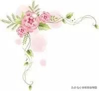 写作描写技巧视频教程,写作方法有哪些细节描写