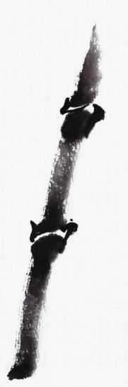 画竹子的简单画法水墨初学,竹子没骨画教程