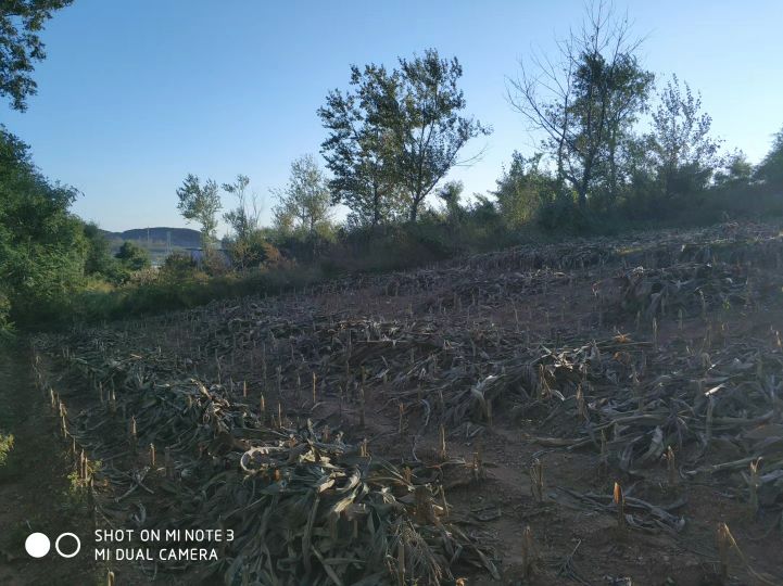 大连长兴岛长城,大连长城4s店