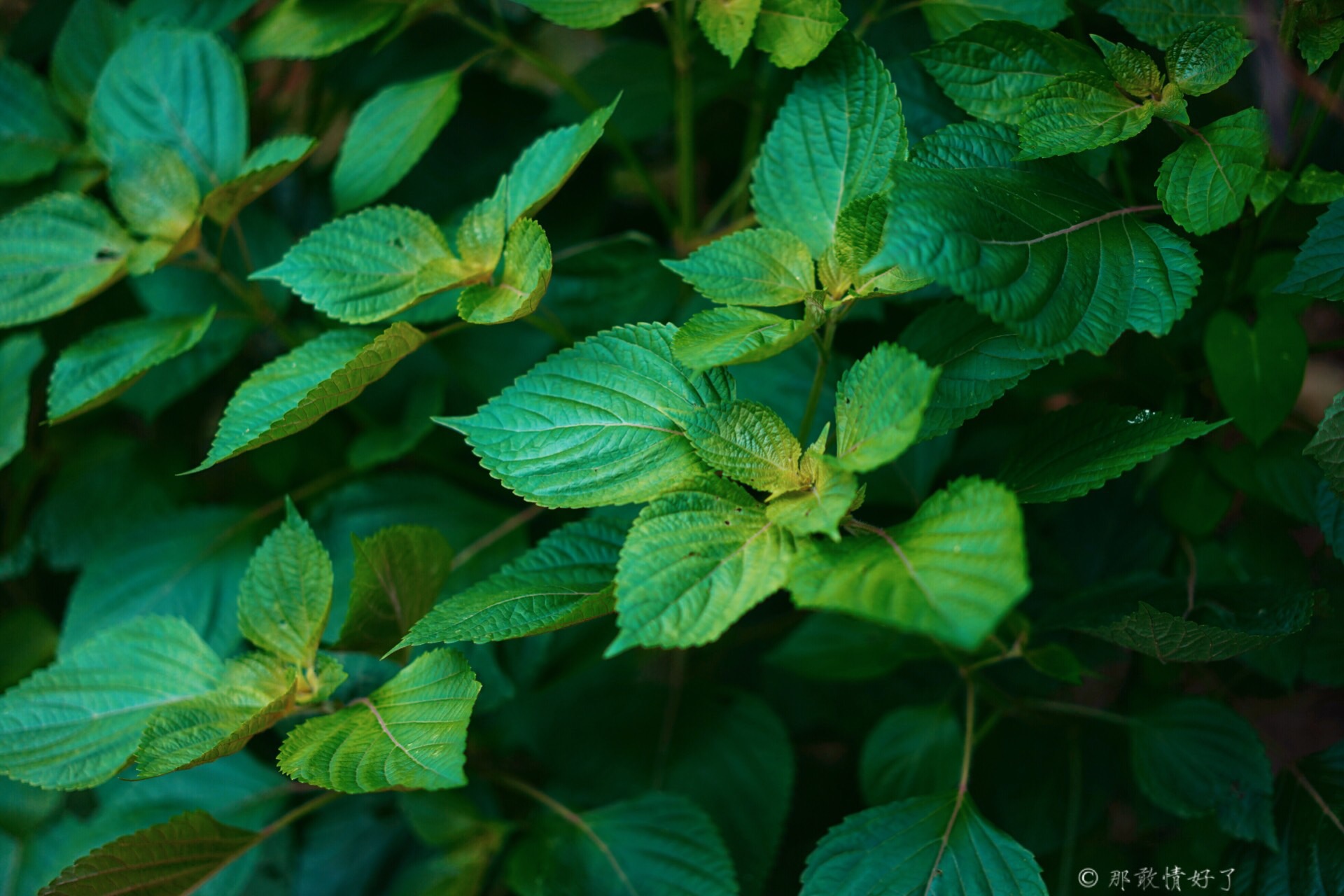 北京昌平带私人烧烤的民宿,昌平京郊民宿