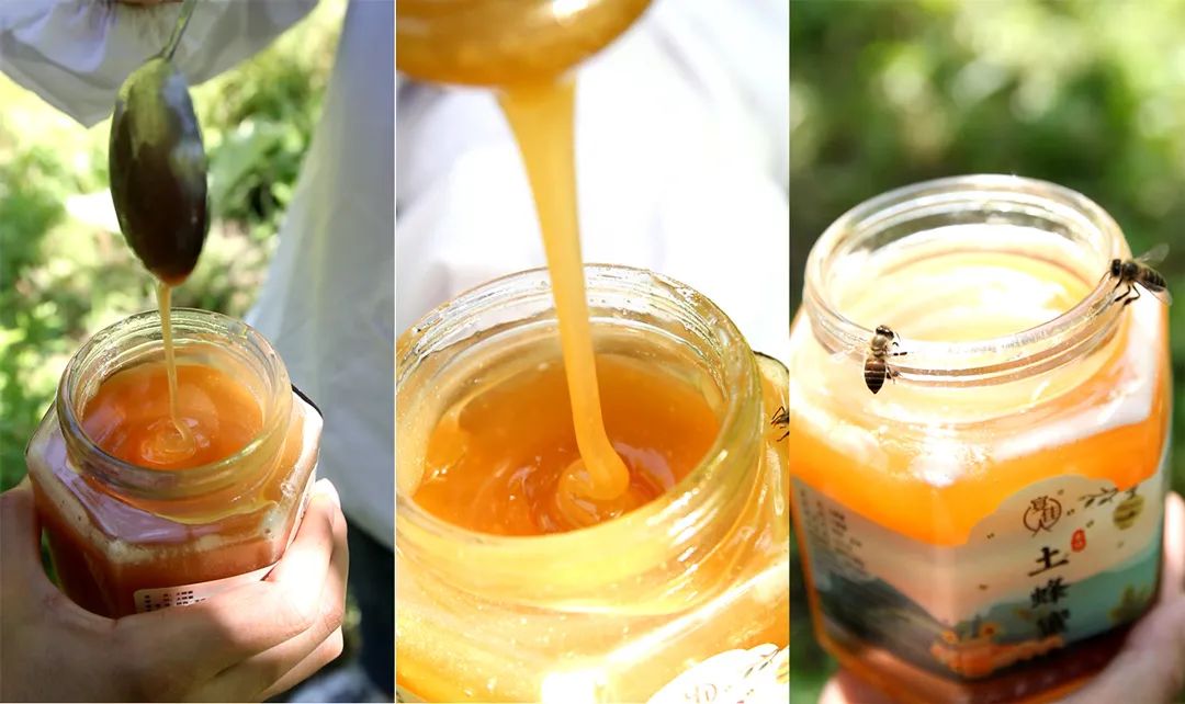 学会这3个小方法轻松买到真蜂蜜,一分钟带你如何辨别蜂蜜