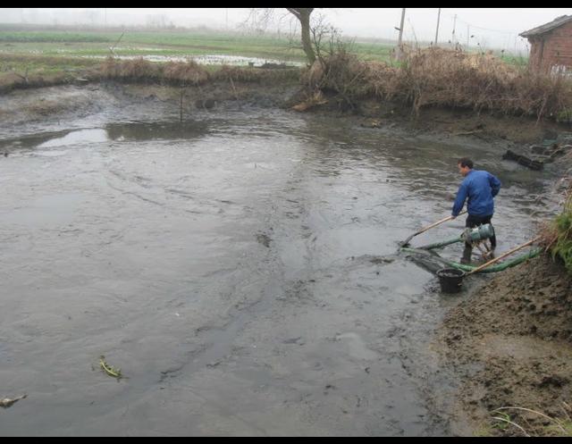野钓鱼资源匮乏怎么办好,野钓资源匮乏是怎么造成的