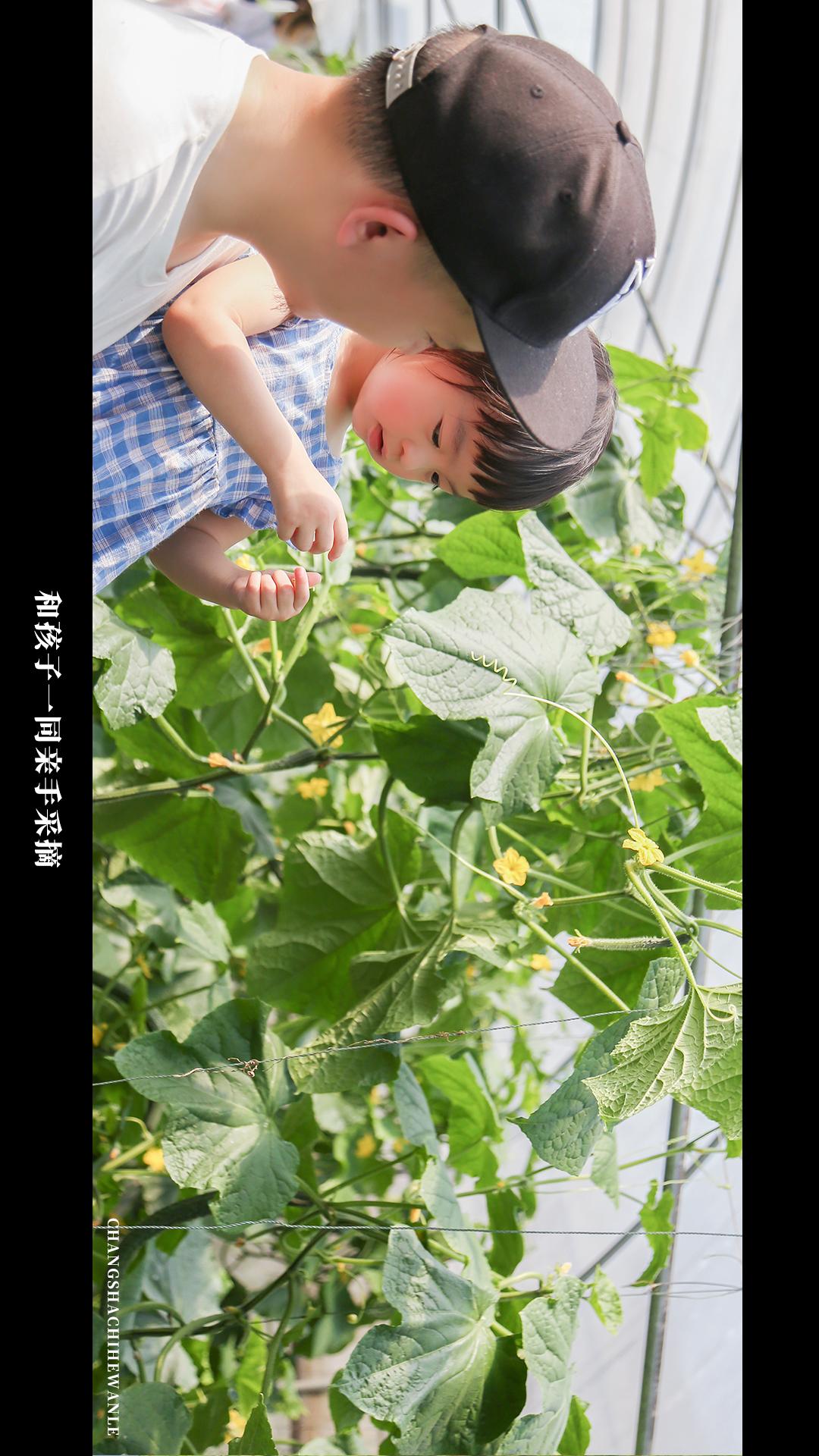 田园低空飞行,田园采摘之旅